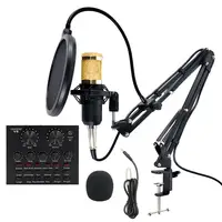 OEM altın Bm-800 Podcast seti stüdyo Bm8000 V8 ses kartı tam kiti BM 800 Karaoke kondenser mikrofon kayıt mikrofon ile kutusu