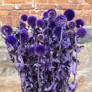 Flores Secas de Cardo Azul, Tallos de <span class=keywords><strong>Echinops</strong></span> a Granel, Cardo Azul Eterno, Rellenos de Flores Secas para Centros de Mesa de Boda - Product Image 3
