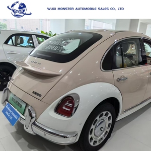 Dora ba lê mèo mini Xe điện-Xe năng lượng mới với phạm vi 100km 30kwh Pin 100kw động cơ - Product Image 5