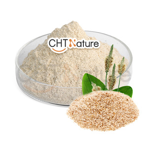 1 किलो 25 किलो फूड ग्रेड फाइबर 99% पेसिलियम बीज पाउडर - Product Image 3