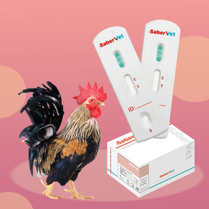 Kit de <span class=keywords><strong>test</strong></span> rapide vétérinaire pour l'antigène du virus de la maladie de Newcastle (NDV) chez la volaille - Product Image 2