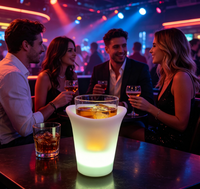 Seau à glace LED multicolore étanche IP65, rechargeable, avec télécommande, refroidisseur de vin lumineux, Noël, Halloween
