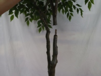 Künstlicher 2-Zweig Ficus-Baum mit Dicken Stielen aus Kunststoff mit Echtem Aussehen für Innenräume, Bonsai-Baum zur Gartendekoration