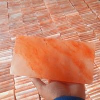 Briques de sel naturel de l'Himalaya 100% pour les décorations de la salle de sauna