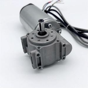 100W 60W 55W 180转/分200转/分220转/分自动门操作员德国电机24v直流拉丝电机滑动门 - Product Image 5