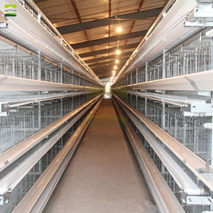 Granja Avícola: Combinación Perfecta entre una Moderna Granja Cerrada para <span class=keywords><strong>Gallinas</strong></span> <span class=keywords><strong>Ponedoras</strong></span> y un Sistema de Jaulas Apilables Totalmente Automatizado - Product Image 3