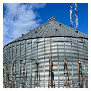 2025 nóng bán hạt Silo Trung Quốc nhà máy sản xuất giá - Product Image 2