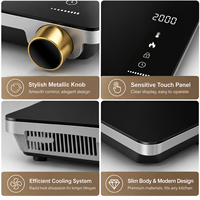 Cuisinière à induction portable 2000W, plaque chauffante électrique à brûleur unique avec commande par bouton rotatif pour la maison, la cuisine, le camping, usine OEM