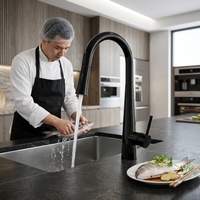 Robinet de cuisine AMAXO en acier inoxydable 304 noir