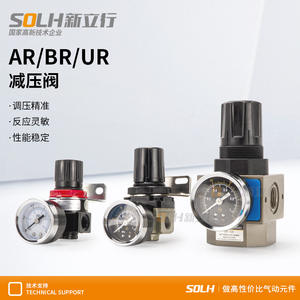 Válvula Reguladora de Presión de Aire Eléctrica y Neumática Newlink AR2000 BR3000, Procesador de Fuente de Aire, Válvula Reductora de Presión de Gas - Product Image 4