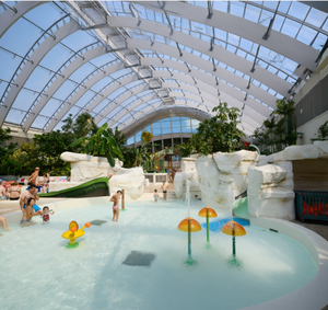 Équipement de jeux aquatiques sur le thème de la forêt en acier inoxydable pour les enfants, parcs aquatiques, campings, stations balnéaires, piscines familiales - Product Image 4