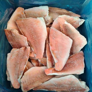 Filetti di Merluzzo Congelati all'Ingrosso (Sebastes Mentella/marinus/alutus) per Ristoranti e Servizi di Ristorazione con Opzioni Personalizzabili - Product Image 1