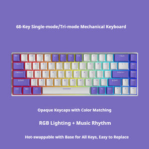Mini <span class=keywords><strong>Teclado</strong></span> Mecánico para Juegos de 68 Teclas, 19 Modos de Iluminación, Intercambiable en Caliente, Anti-ghosting en Todas las Teclas, <span class=keywords><strong>Teclado</strong></span> Mecánico con Cable - Product Image 3