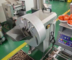 Déchiqueteuse automatique de trancheuse de gingembre Machine à trancher automatique de fruits et <span class=keywords><strong>légumes</strong></span> - Product Image 5