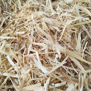 Pacas de Tallo de Maíz para Alimentación de Ganado Vacuno, Ovino y Equino - Product Image 4