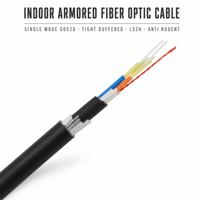 Kabel Serat Optik Lapis Baja Mode Tunggal GJFJH63 dengan Jaring Baja Spiral Ganda, Kekuatan Tarik Tinggi, Desain Kehilangan Penyisipan Rendah