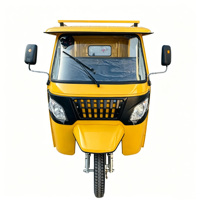 Nouvel Arrivage Tricycle Électrique 4000W à Moteur TVS, Carrosserie Ouverte, 60V, Type Bajaj Africa Keke, avec Caractéristiques Communes