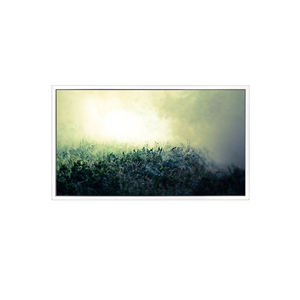 Écran LCD extérieur haute luminosité EV101WUM-N80 10,1 pouces 1920RGB*1200 WUXGA 224PPI OEM pour usage industriel - Product Image 1