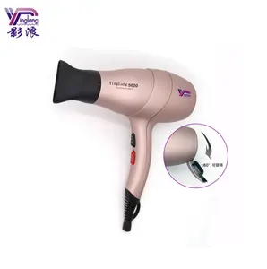 Yinglang Factory Professional Salon Use Hair Dryer Sechoir Cheveux Model 5600