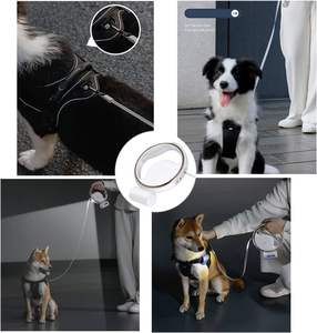 Guinzaglio Retrattile per Cani con Luce LED, Guinzaglio da Passeggio per Esterni, Guinzaglio da Corsa per Animali Domestici con Dispenser per Cani di Piccola Taglia fino a 9 kg - Product Image 5