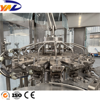Machine de remplissage et d'embouteillage de jus en bouteilles PET de 330 ml et 500 ml, contrôlée par PLC, avec pompe à moteur automatique, en promotion, pour le projet A à Z Turquie