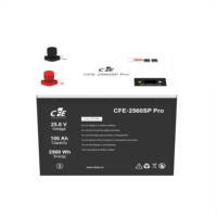 Batterie au lithium à décharge profonde CFE-2560SP Pro 25,6 V 100 Ah avec équilibrage actif et écran OLED pour stockage solaire de camping-car