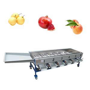 Machine automatique de tri et de calibrage des fruits et légumes pour pommes de terre, tomates, avocats, bleuets, cerises - Acier inoxydable 304 - Product Image 3