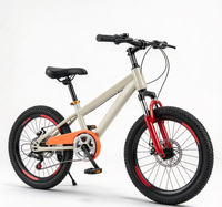 Vélo pour enfants JIAFENG, vélo de montagne pour enfants, vélo pour enfants de 22 pouces, vélo à vitesses, vélo de sport - BB113