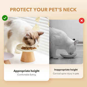 Venta al por mayor 2-en-1 Ecológico Cerámica Marco de madera Cuencos para mascotas Bandejas duraderas para perros y gatos por el fabricante Shamitao - Product Image 5