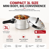 Mini-cuiseur à pression en aluminium avec plaque vapeur, surface polie, compatible gaz et induction, cuisson rapide et sûre