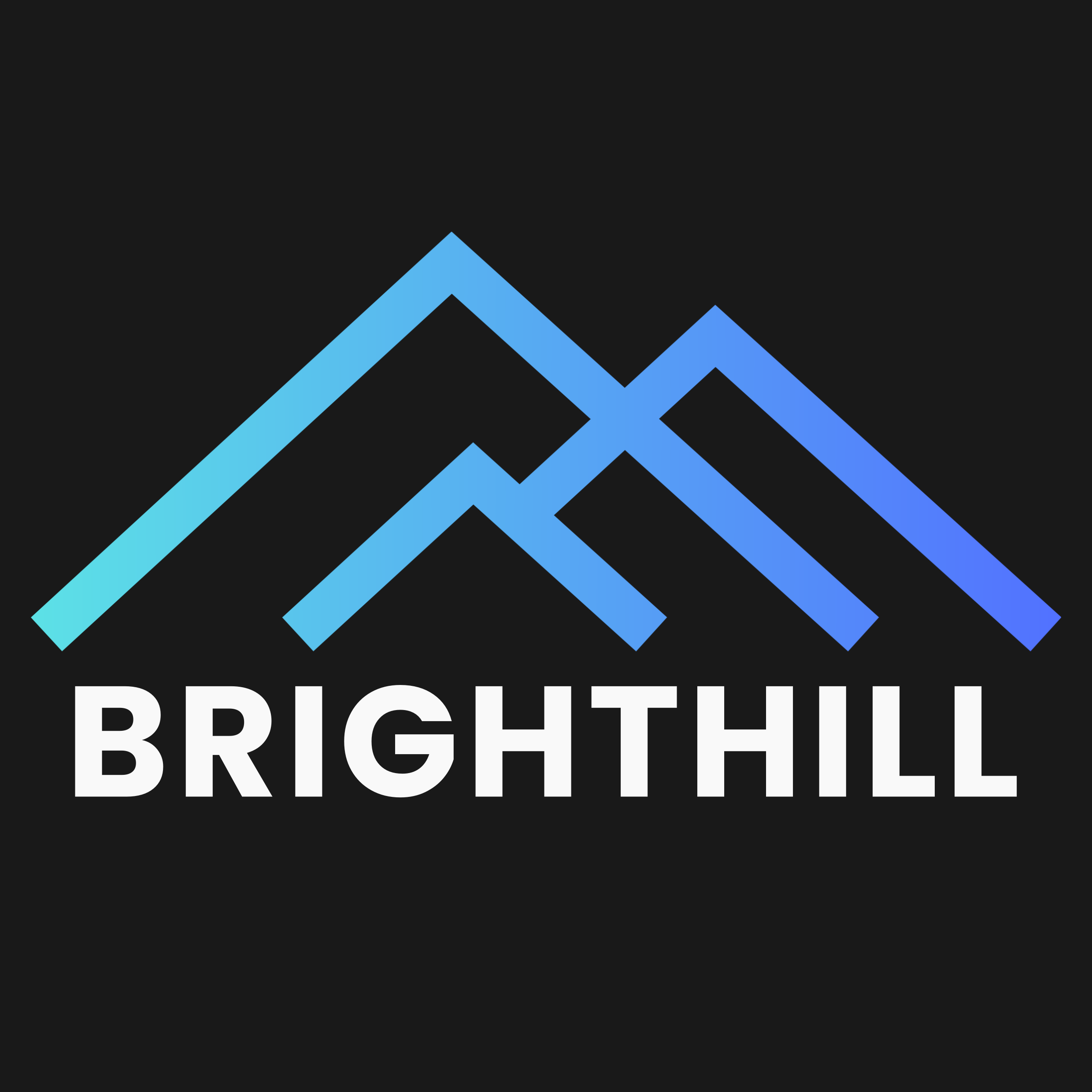 Shanghai Brighthill Technology Co., Ltd. logo