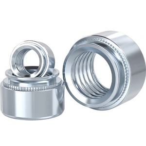 SP-M2 m2. 5 M3 M4 M5 M6 M8 M10-0 1 <span class=keywords><strong>2</strong></span> inserto filettato dado in acciaio al carbonio con dado in zinco blu - Product Image 1