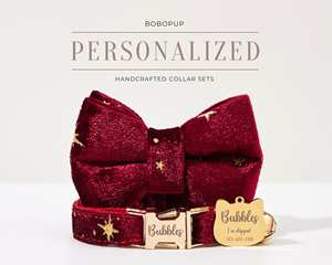 Ensemble de laisse personnalisée Veet pour chatons, laisse à motif uni, étiquette dorée gravée, collier en velours fait main pour chat et chiot - Product Image 4