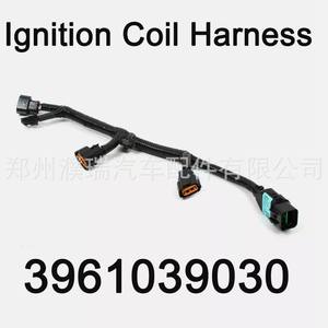 Arnés de Bobina de Encendido Hyundai 39610-39030 para Santa Fe XG350 Amanti, 12V, PVC, Nylon, IP65, Conector de Cableado - Product Image 5