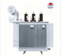 Transformateur immergé dans l'huile, série S13, 10 kV, 1250 kVA, à enroulement en aluminium, résistant aux intempéries, refroidissement ONAN, pour réseau électrique rural