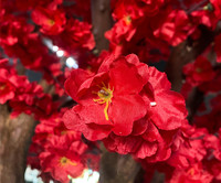 Maßgeschneiderter Großer Kirschbaum Künstlicher Baum 3m 4m 5m 6m Seide Rote Baumschirm-Form Sakura Für Esszimmer-Dekoration Bogenkunst
