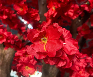 Cây hoa anh đào nhân tạo hình vòm trang trí phòng ăn, kiểu ô dù lớn bằng lụa đỏ, kích thước tùy chỉnh 3m 4m 5m 6m - Product Image 2