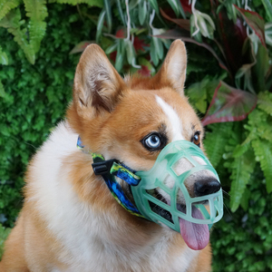 Mõm chó siêu-Chó hoàn hảo màu đen, ngăn ngừa nhai và cắn, giỏ cho phép thở hổn hển và uống-thoải mái, nhân Đạo - Product Image 4