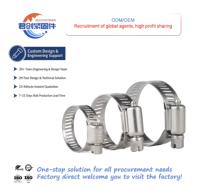 Collier de serrage flexible en acier inoxydable 304, détachable rapidement, à dégagement facile, robuste, OEM