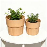 Pot de fleurs et de bonsaï en résine plastique, style nordique minimaliste, durable, écologique, moulé par injection, petit format pour la maison