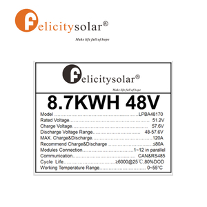 Baterías AAA CATL de 48 V y 170 Ah, Batería de Litio LifePo4 de 6000 Ciclos Profundos para Europa y América - Product Image 5