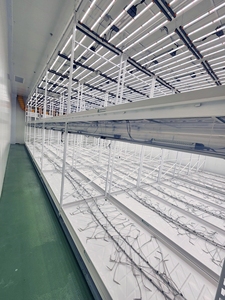 Agricultural <strong>Greenhouses</strong> Mobile <strong>Shelving</strong> Systems Hydroponic Shelves &amp; Rack - Product Image 2