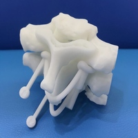 Pièce en plastique imprimée en 3D avec matériau Precimid1171Pro