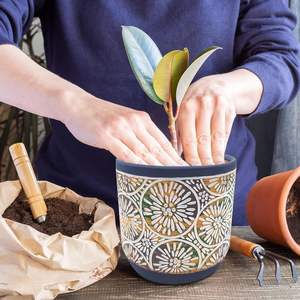 Pot de fleurs en céramique moderne de grand diamètre pour utilisation au sol, écologique et durable, idéal pour les arbres à argent, les Pothos et les Clivia - Product Image 4