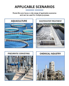 Corrosion-Resistant Biogas Roots <b>Blower</b> Specialized for Anaerobic Tanks & Sewage Systems - Product Image 6