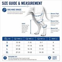 PETSGUARD Attelle Professionnelle pour Genou de Chien, Système de Sangle Dorsale pour L'AVC et L'ACL des Pattes Arrière, en Polyester Respirant Perforé Anti-Rayures