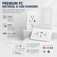 Prise murale américaine standard avec double prise USB Type C, interrupteur d'éclairage US, panneau PC, prise 15A, double prise mexicaine et chargement USB