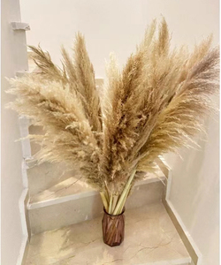 ARGE-Hierba de las pampas secas naturales para arco de boda, decoración de estilo bohemio de 120cm de alto, gran oferta - Product Image 5