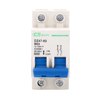 Disjoncteur miniature électrique CNCSGK DZ47-125 63-125A 3 pôles monophasé DC 250V/500V/1000V pour véhicules électriques 80A/100A/125A Mini