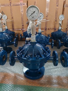 DN15 0.35L SS304 màng loại pulsation Damper cho định lượng Bơm định lượng - Product Image 2